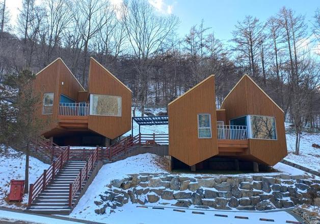 '자연 속 휴식공간' 보은군 내달 트리하우스 개장