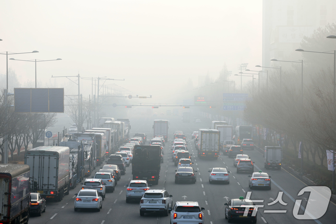 (광주=뉴스1) 이승현 기자 = 짙은 안개가 낀 16일 오전 광주 서구 무진대로 일대에서 차량들이 신호를 기다리고 있다.  2026.1.16/뉴스1