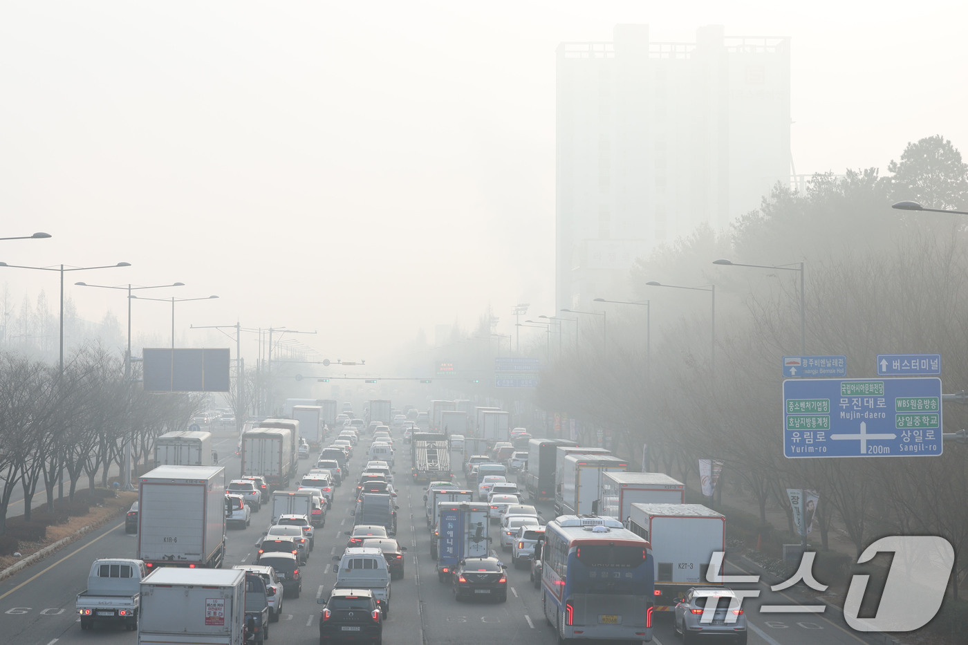 (광주=뉴스1) 이승현 기자 = 짙은 안개가 낀 16일 오전 광주 서구 무진대로 일대에서 차량들이 서행하고 있다.  2026.1.16/뉴스1