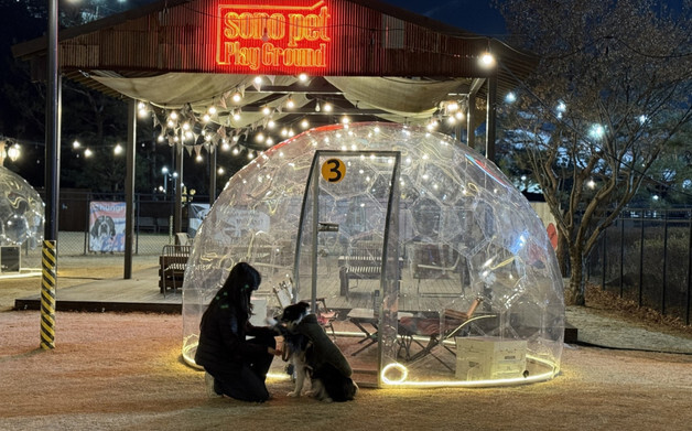 "강아지와 따뜻한 겨울"…소노펫, '윈터 돔 빌리지' 오픈