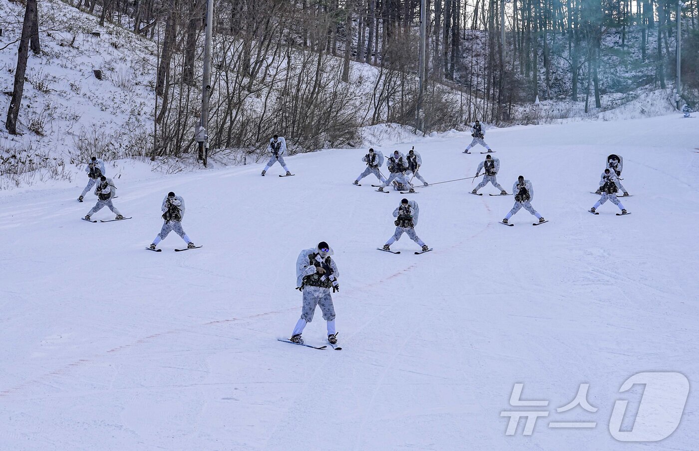 본문 이미지 - 해병대 특수수색여단은 지난 2일부터 2월 26일까지 강원 평창군 황병산 일대에서 2026년 동계 설한지 훈련’을 진행한다고 16일 밝혔다. 사진은 지난 14일 해병대 특수수색여단 팀단위 대형을 유지한 채 텔레마크 스키로 설상 기동 및 환자 이송을 실시하고 있는 모습. (해병대 제공. 재판매 및 DB 금지) 2026.1.16/뉴스1