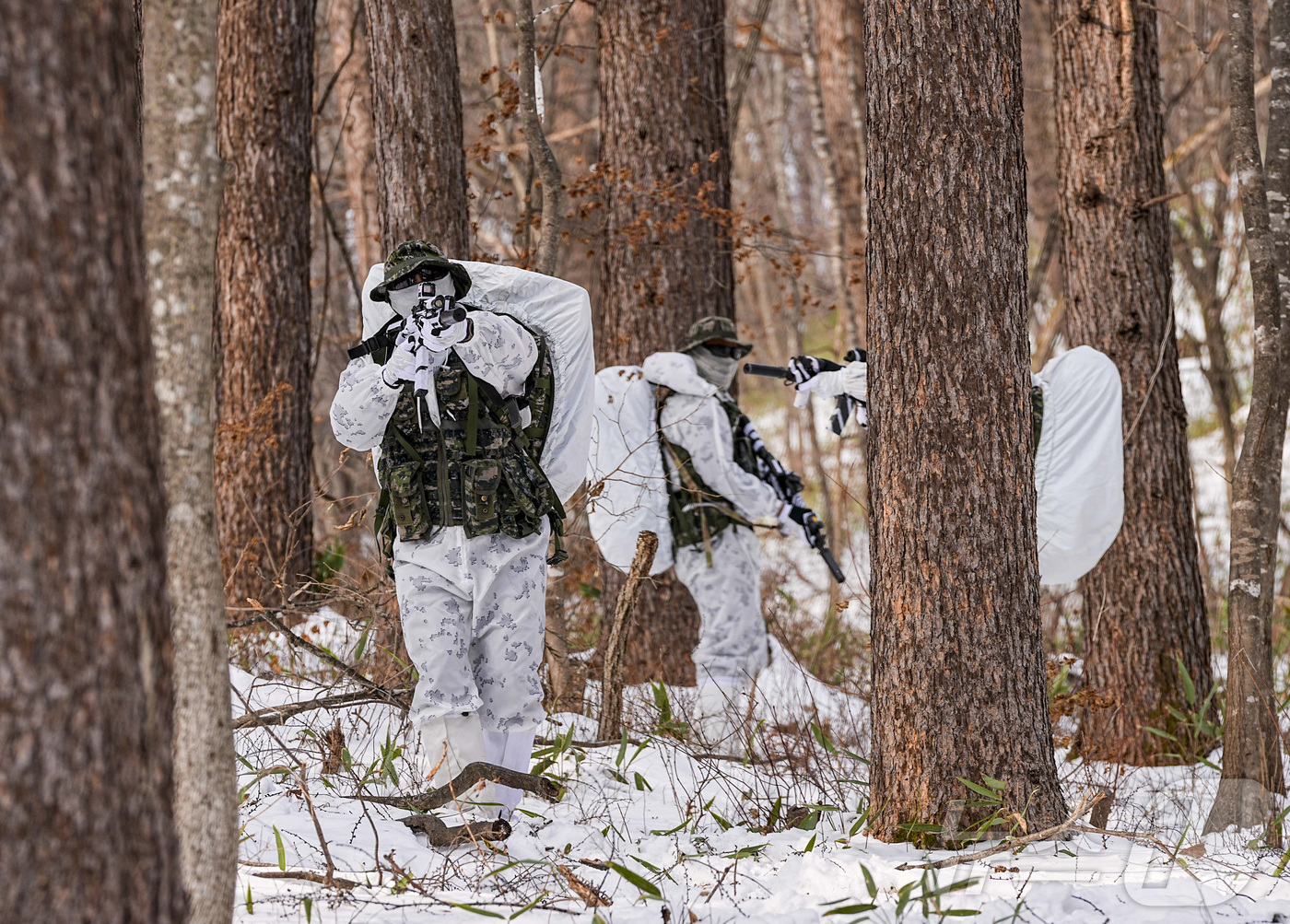 (서울=뉴스1) = 해병대 특수수색여단은 지난 2일부터 2월 26일까지 강원 평창군 황병산 일대에서 2026년 동계 설한지 훈련’을 진행한다고 16일 밝혔다. 사진은 지난 14일 …