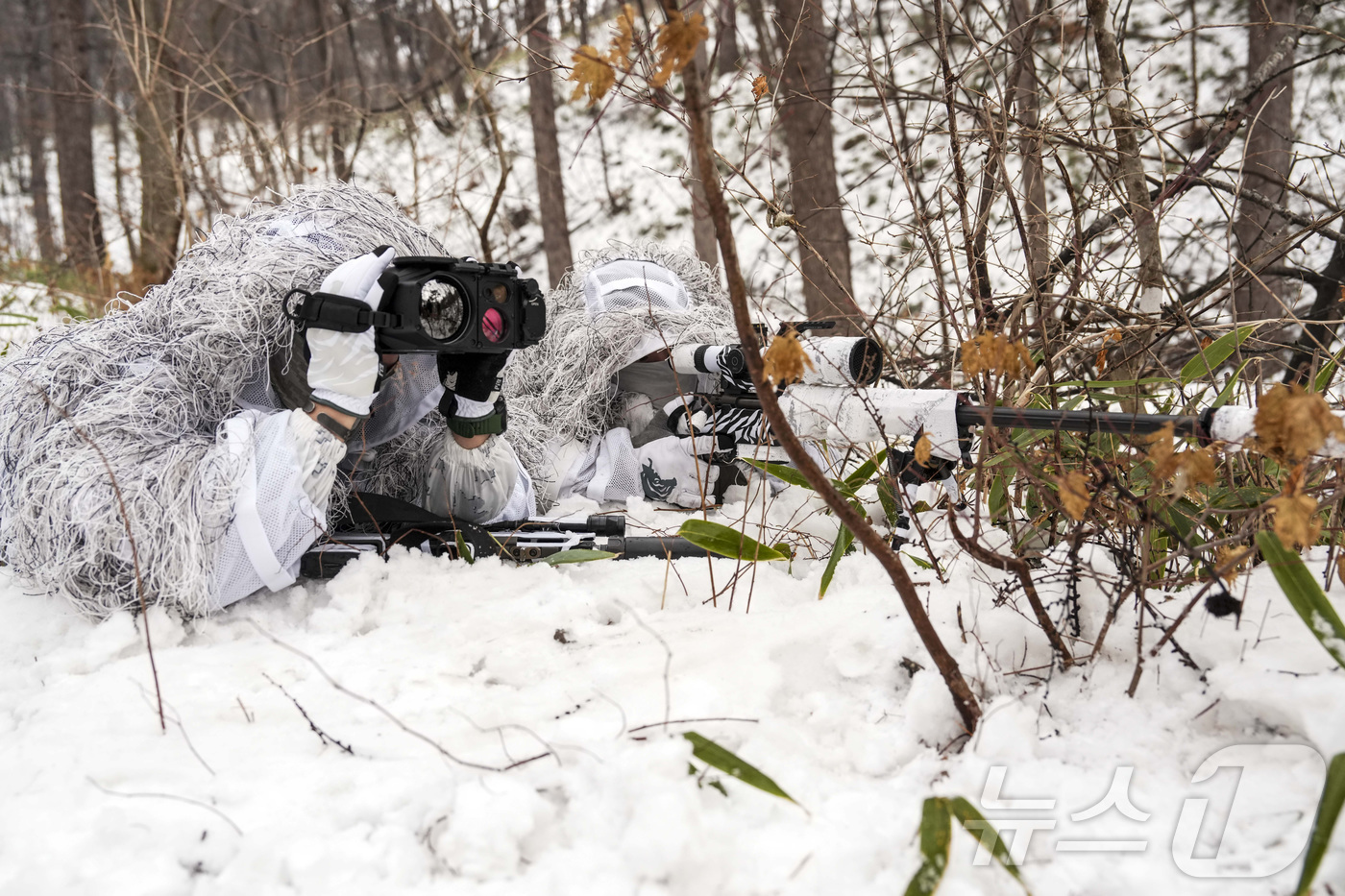 (서울=뉴스1) = 해병대 특수수색여단은 지난 2일부터 2월 26일까지 강원 평창군 황병산 일대에서 2026년 동계 설한지 훈련’을 진행한다고 16일 밝혔다. 사진은 지난 15일 …