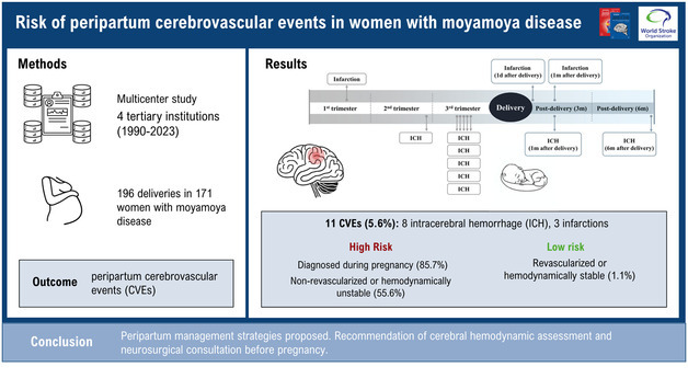 모야모야병 산모 임신·출산기 뇌졸중 위험 규명…산전 점검 중요