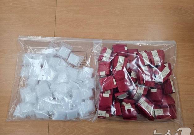 '마약에 제주공항 뚫려'…필로폰 1.1㎏ 밀반입한 중국인 징역 15년 구형