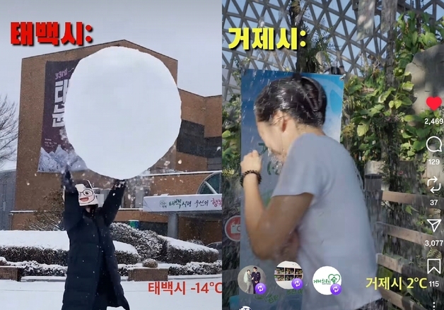 '눈 구경 시켜드릴까요'…거제시-태백시 콜라보 릴스 인기