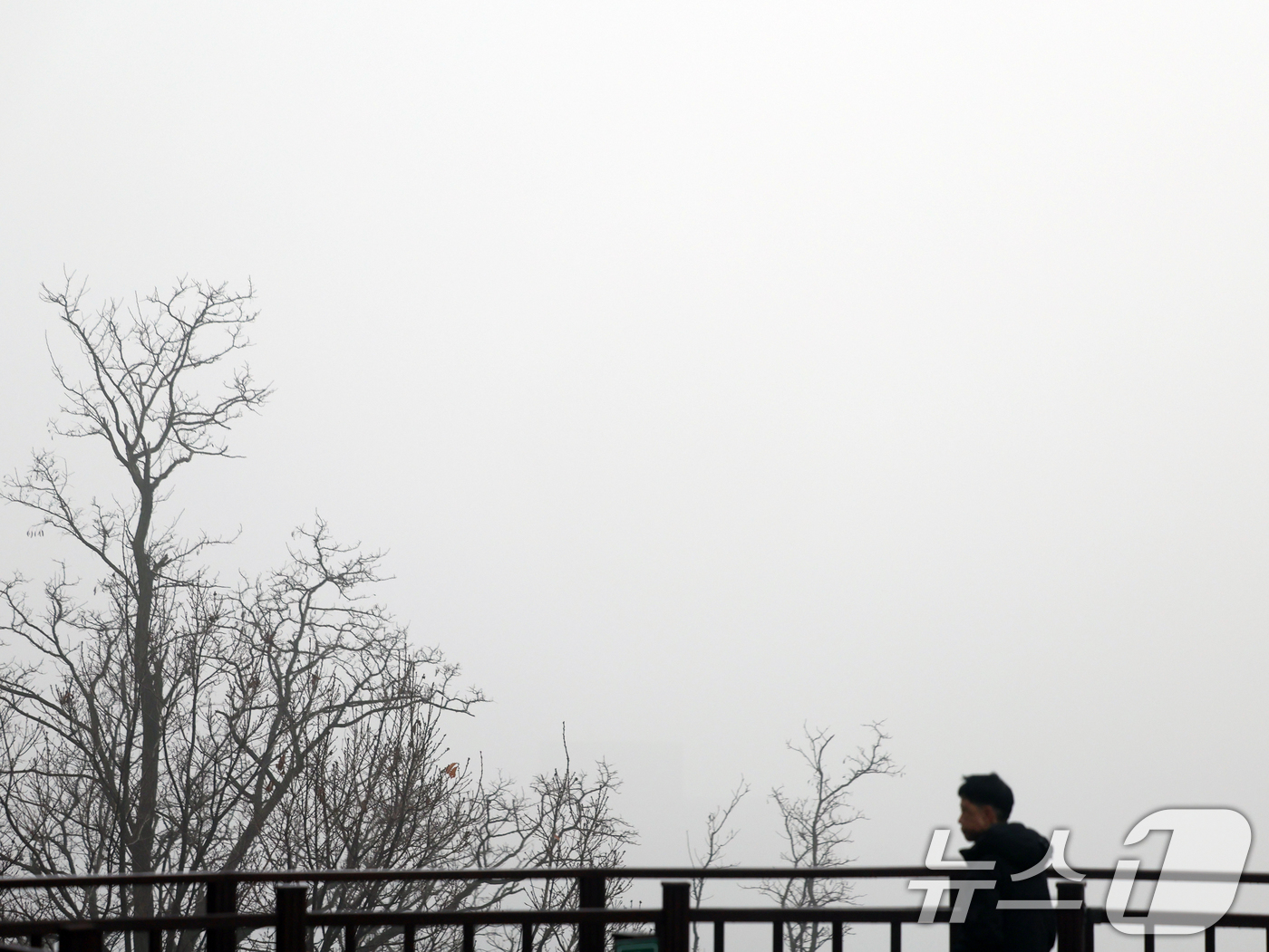 (서울=뉴스1) 황기선 기자 = 16일 오전 서울 남산에서 바라본 서울 도심이 초미세먼지와 짙은 안개로 뿌옇게 보이고 있다.서울시는 이날 오전 11시 기준 초미세먼지 주의보를 발령 …