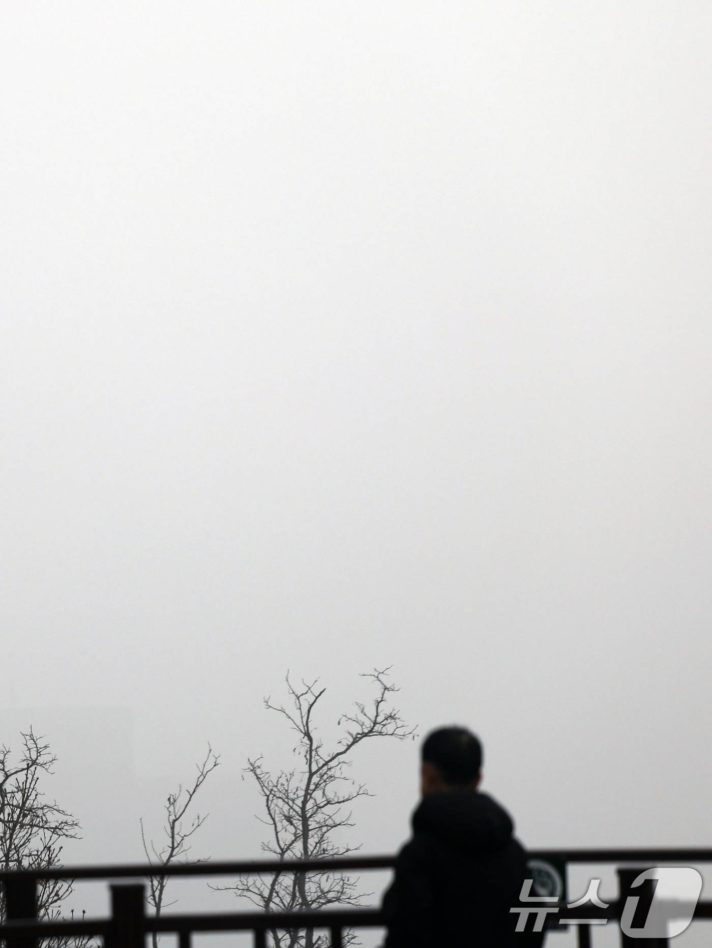 (서울=뉴스1) 황기선 기자 = 16일 오전 서울 남산에서 바라본 서울 도심이 초미세먼지와 짙은 안개로 뿌옇게 보이고 있다.서울시는 이날 오전 11시 기준 초미세먼지 주의보를 발령 …