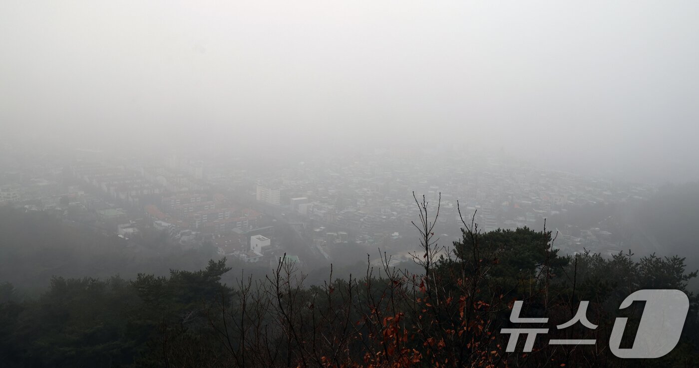 본문 이미지 - 16일 오전 서울 남산에서 바라본 서울 도심이 초미세먼지와 짙은 안개로 뿌옇게 보이고 있다. 서울시는 이날 오전 11시 기준 초미세먼지 주의보를 발령했다고 밝혔다. 올해 첫 초미세먼지 주의보 발령이다. 2026.1.16/뉴스1 ⓒ News1 황기선 기자
