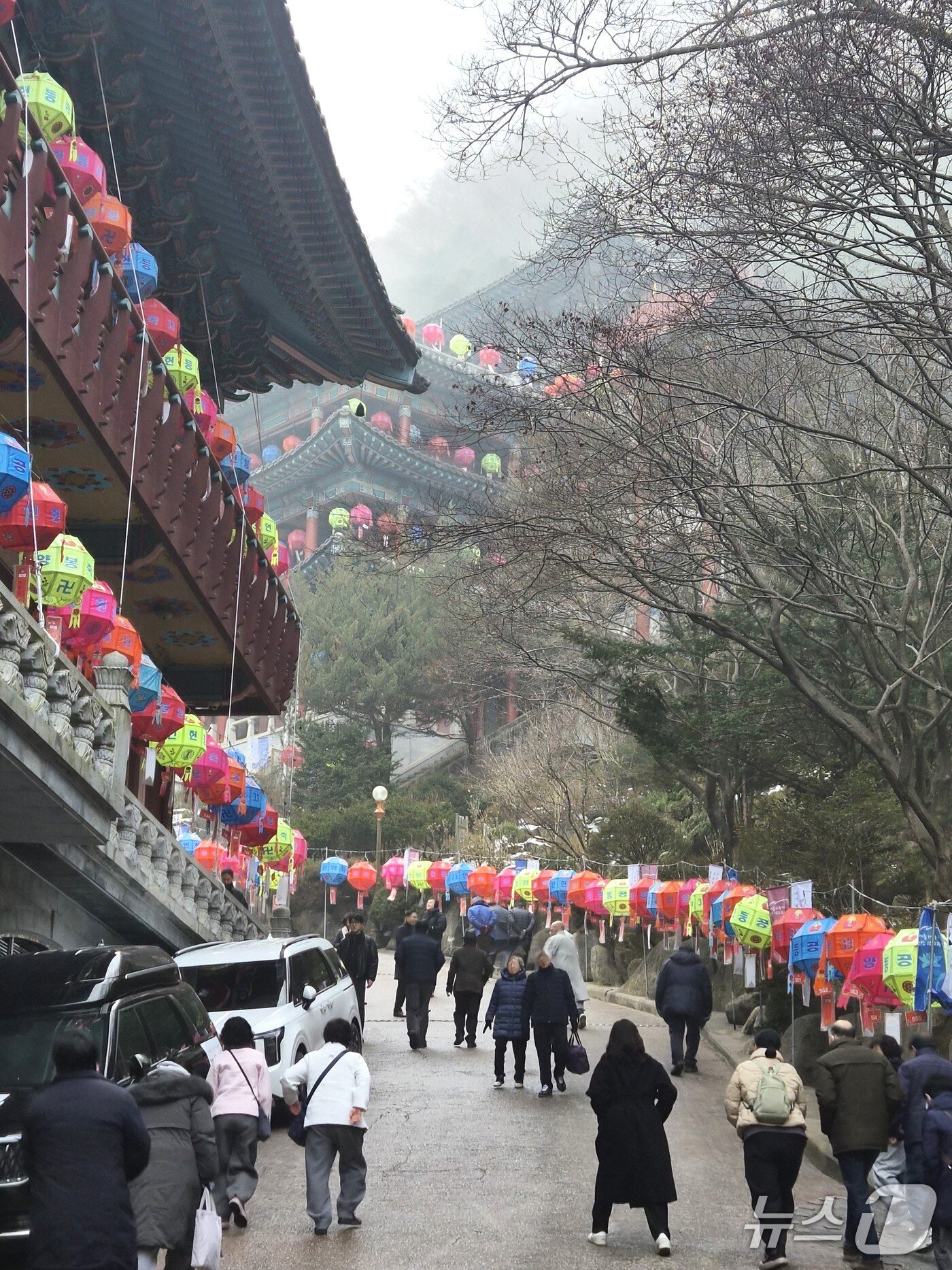 본문 이미지 - 단양 구인사에 1만 5000여명의 신도들이 사찰을 찾았다./2026.1.16/뉴스1 손도언 기자  