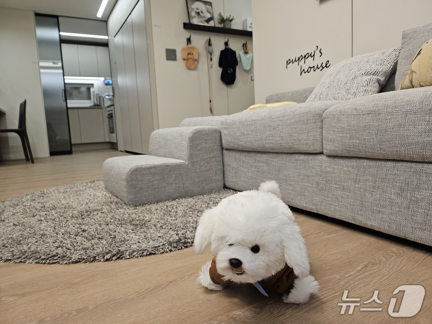 본문 이미지 -  반려동물 특화 인테리어가 옵션으로 제공되는 '드파인 연희'.  2026. 1. 16. 오현주 기자 (뉴스1 ⓒ News1)
