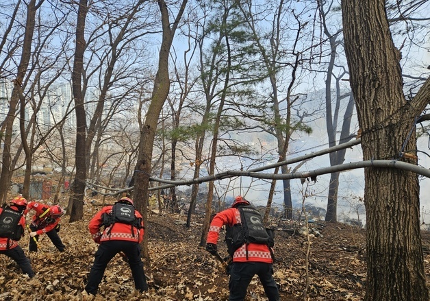 산림청 산불특수진화대 구룡마을 화재 방화선  구축 총력