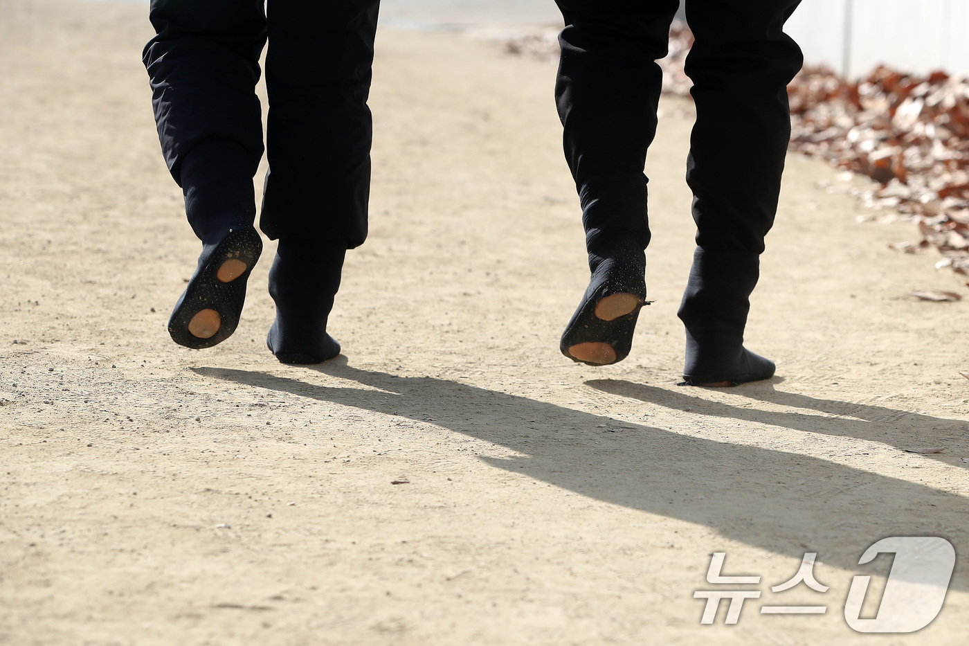 (대구=뉴스1) 공정식 기자 = 겨울답지 않게 포근한 날씨가 이어진 16일 대구 달서구 두류공원에서 맨발양말을 신은 시민들이 2.28자유광장을 걷고 있다.발바닥 앞뒤에 구멍이 뚫린 …