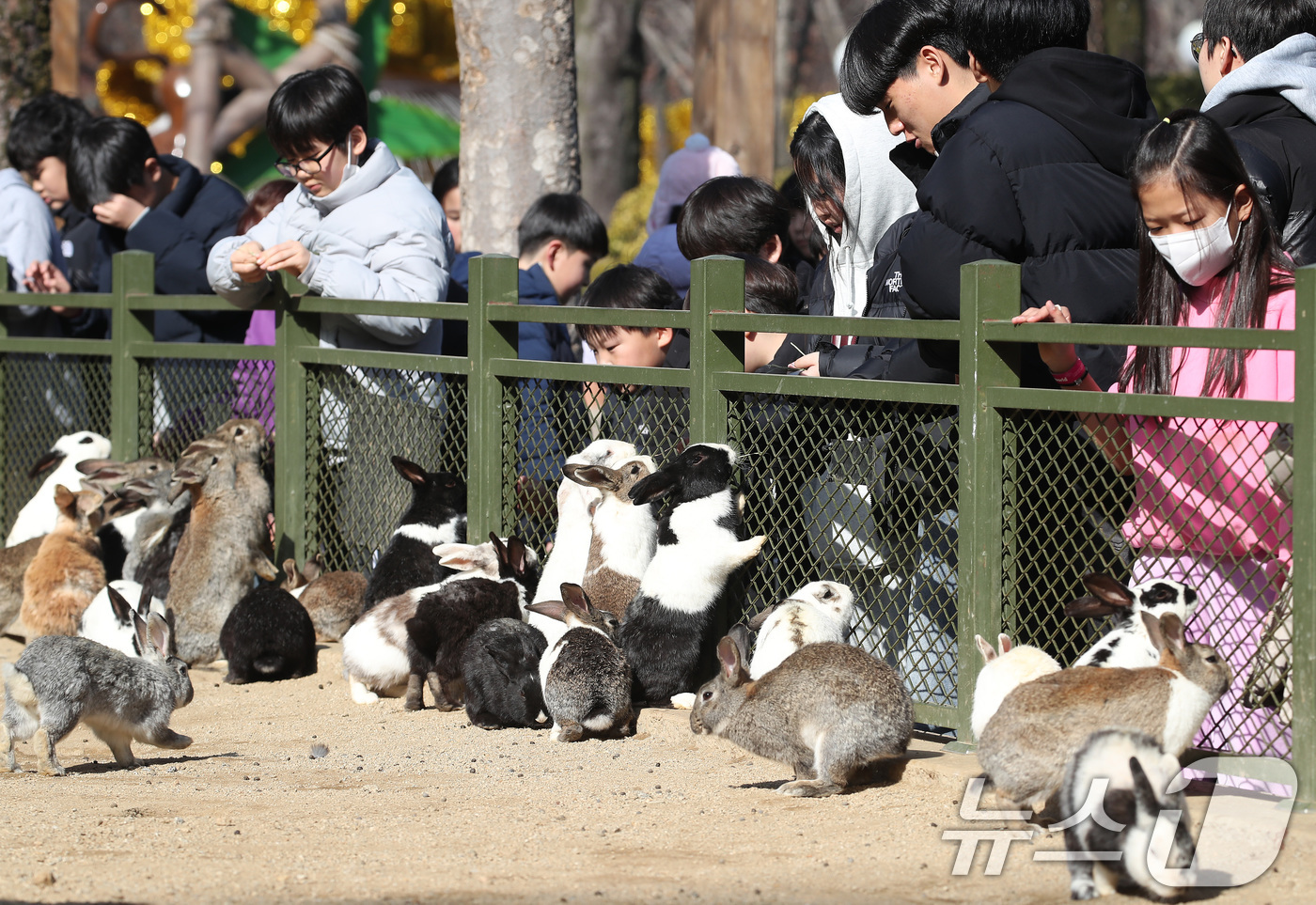 (대구=뉴스1) 공정식 기자 = 겨울답지 않게 포근한 날씨가 이어진 16일 대구 달서구 테마파크 이월드 동물원을 찾은 어린이들이 토끼 먹이 주기 체험을 하고 있다. 2026.1.1 …