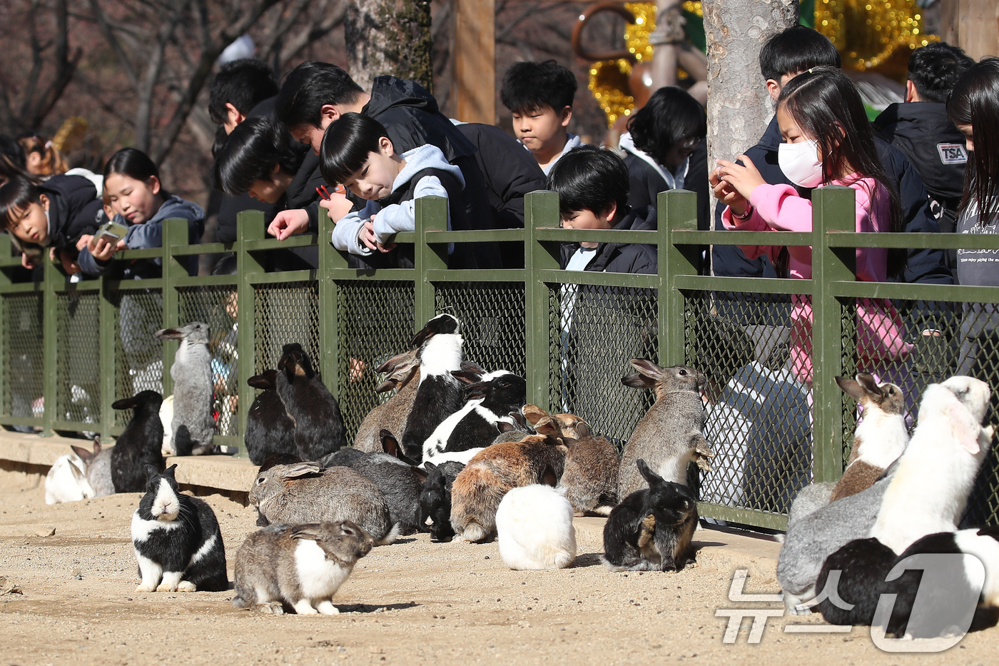 (대구=뉴스1) 공정식 기자 = 겨울답지 않게 포근한 날씨가 이어진 16일 대구 달서구 테마파크 이월드 동물원을 찾은 어린이들이 토끼 먹이 주기 체험을 하고 있다. 2026.1.1 …
