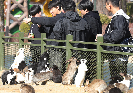 '포근한 겨울' 붐비는 테마파크