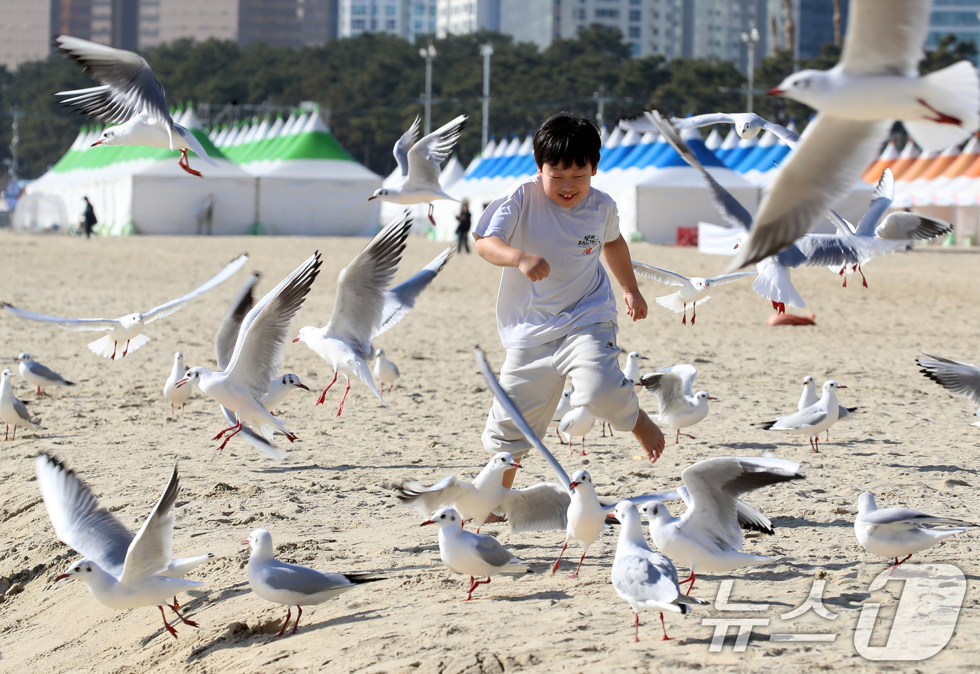 (부산=뉴스1) 윤일지 기자 = 포근한 날씨를 보인 16일 부산 해운대해수욕장에서 반팔 차림을 한 어린이가 갈매기의 군무를 보며 즐거운 시간을 보내고 있다. 2026.1.16/뉴스 …