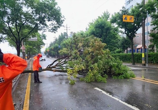 전북 소방 "끼임·승강기 사고 늘고, 풍수해 출동 증가"