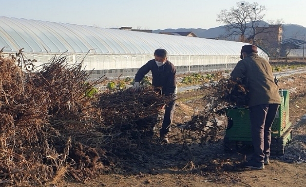 진천군 "고춧대 등 영농부산물 태우지 말고 파쇄하세요"
