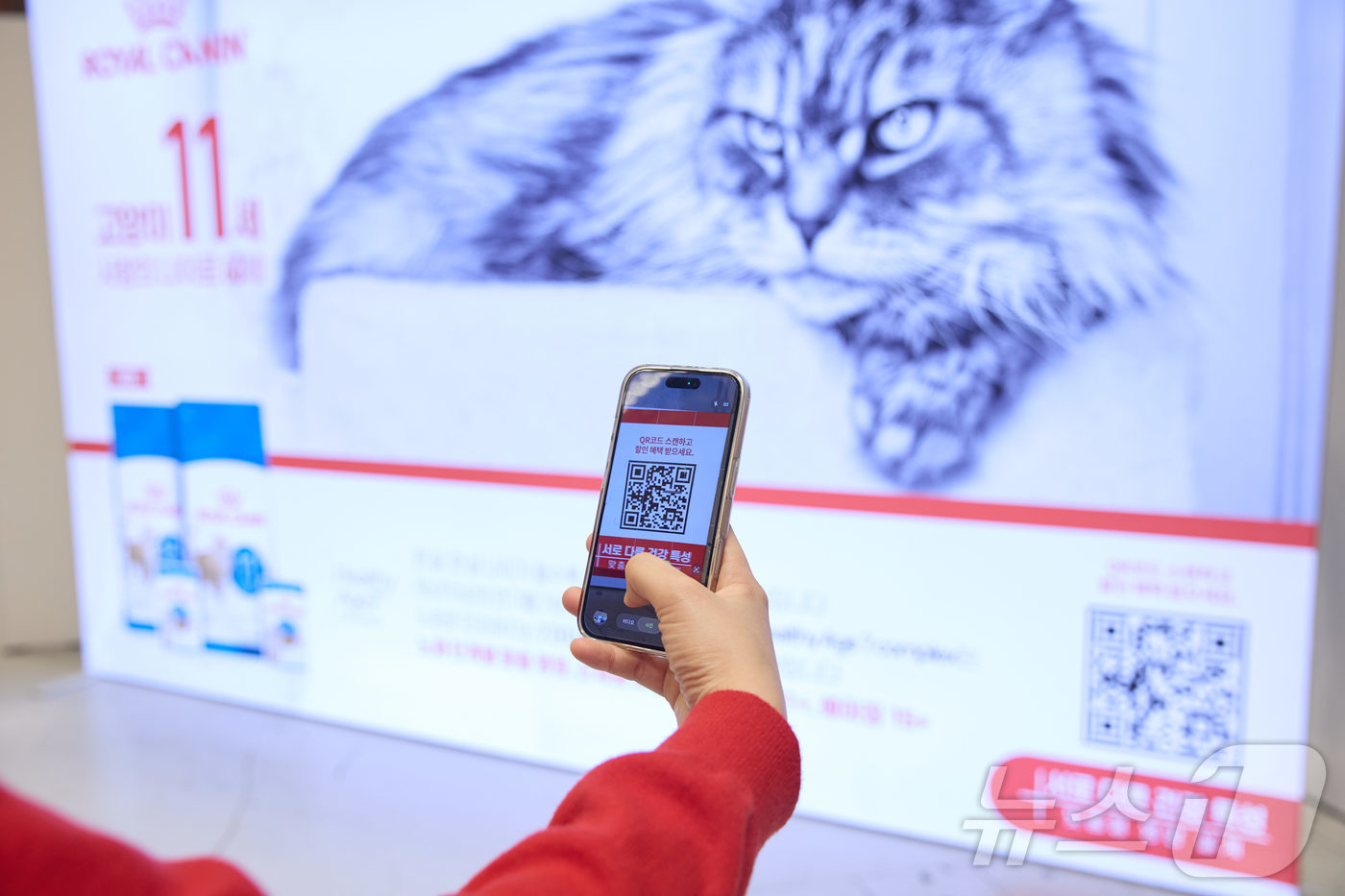 (서울=뉴스1) = 펫푸드 브랜드 로얄캐닌코리아는 지난 16일 서울 강남구 코엑스에서 열린 ‘2026 가낳지모 캣페어’에서 보호자들을 대상으로 ‘건강한 노화를 위한 반려묘 영양 관 …