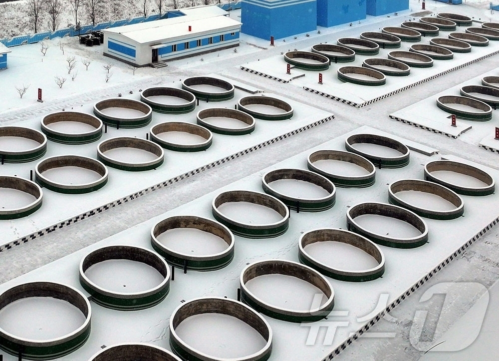 (평양 노동신문=뉴스1) = 북한 노동당 기관지 노동신문은 17일 "직하대 서양 연어종어장 준공식이 지난 16일 진행됐다"라고 보도했다. [국내에서만 사용가능. 재배포 금지. DB …