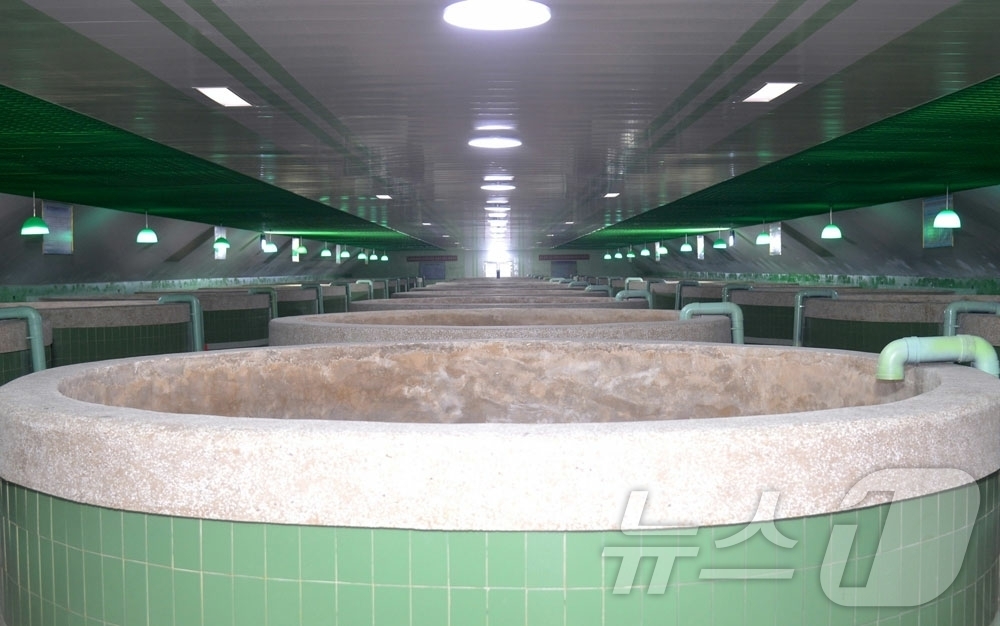 (평양 노동신문=뉴스1) = 북한 노동당 기관지 노동신문은 17일 "직하대 서양 연어종어장 준공식이 지난 16일 진행됐다"라고 보도했다. [국내에서만 사용가능. 재배포 금지. DB …