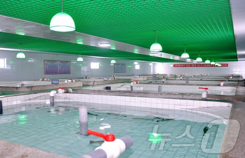 (평양 노동신문=뉴스1) = 북한 노동당 기관지 노동신문은 17일 "직하대 서양 연어종어장 준공식이 지난 16일 진행됐다"라고 보도했다. [국내에서만 사용가능. 재배포 금지. DB …