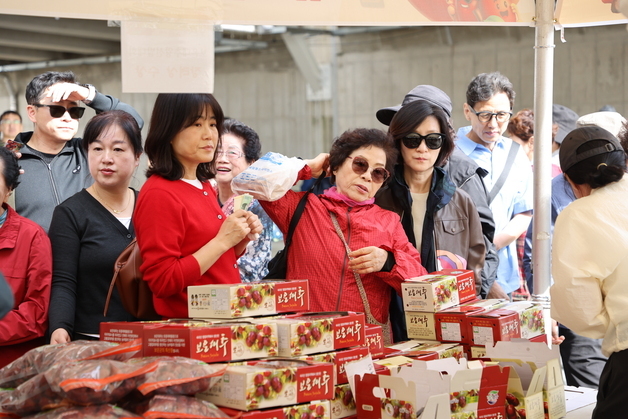 '보은대추축제' 충북 대표 농특산물축제로 우뚝