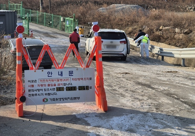 김진태 강원지사 "행정력 총동원해 차단"…강릉 ASF 확진 대응