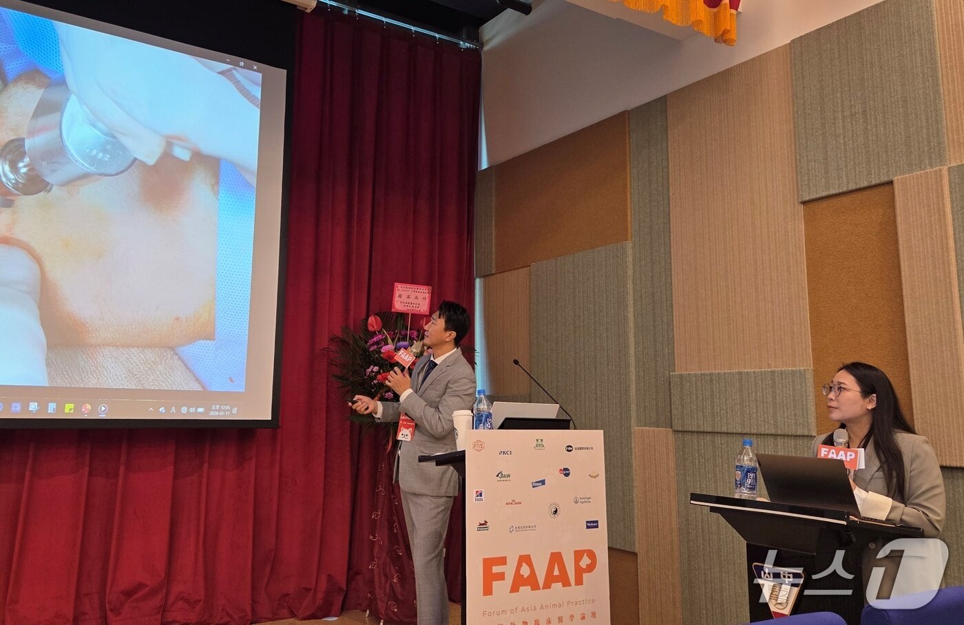 본문 이미지 - 김영기 더본외과동물의료센터 원장이 17일 대만 타이중에서 반려동물 관절 치료법을 교육하고 있다. ⓒ 뉴스1