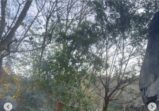 진재영, 교토 야외 온천서 어깨 드러낸 채 그림 같은 뒤태·미모 [N샷]