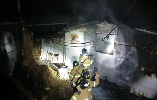 의성 안계면 돈사서 화재…새끼돼지 등 340마리 폐사