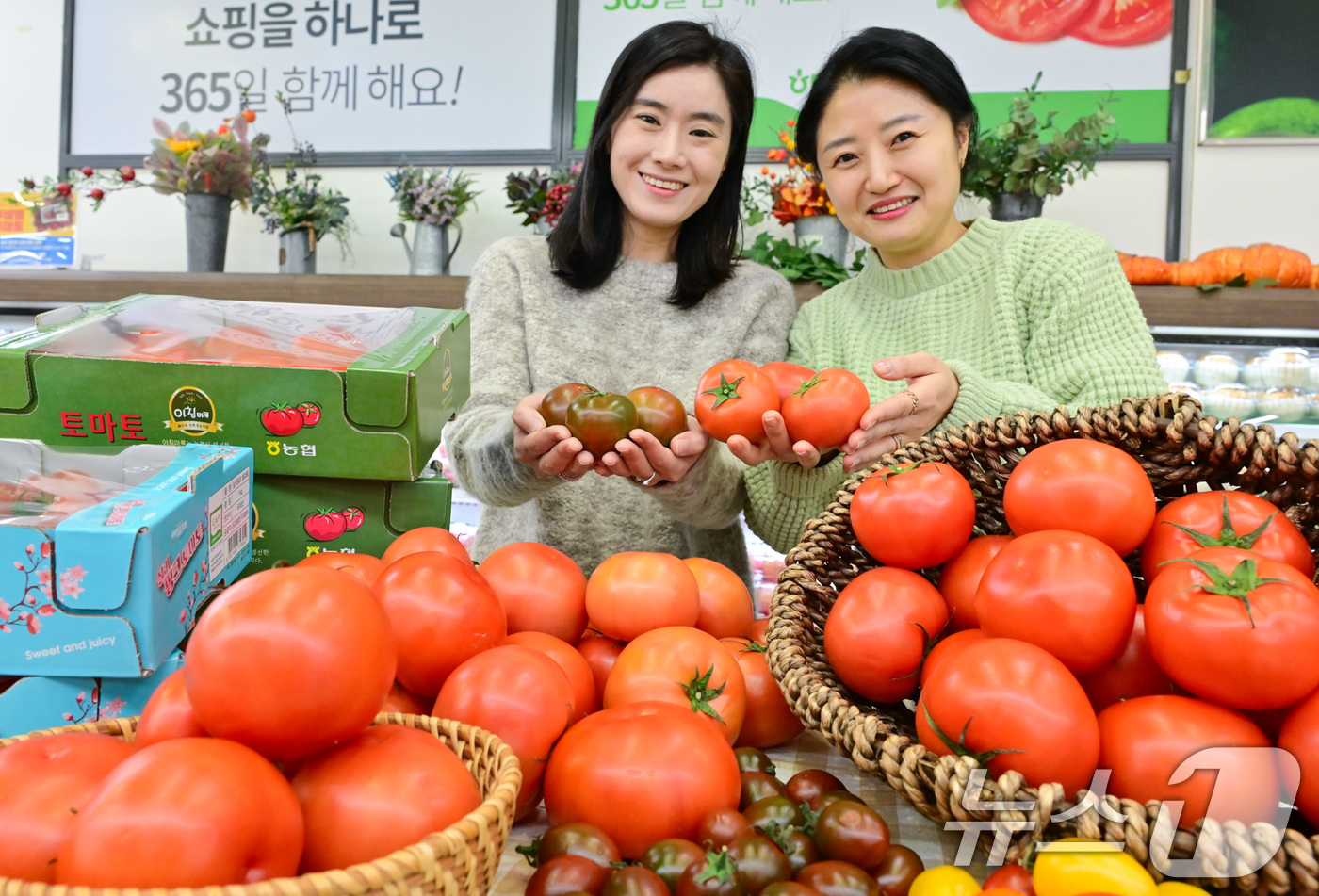 (서울=뉴스1) = 농식품 전문 매장 농협 하나로마트를 운영하는 농협유통은 18일 한겨울 추위를 이길 수 있는 맛과 영양이 가득 담긴 다양한 토마토를 추천한다고 밝혔다.토마토는 세 …