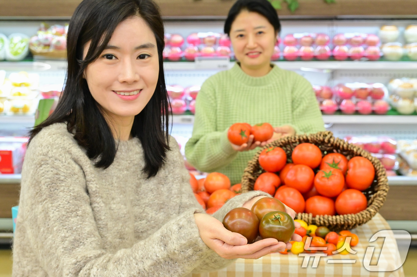 (서울=뉴스1) = 농식품 전문 매장 농협 하나로마트를 운영하는 농협유통은 18일 한겨울 추위를 이길 수 있는 맛과 영양이 가득 담긴 다양한 토마토를 추천한다고 밝혔다.토마토는 세 …