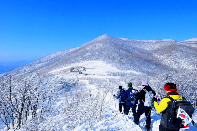 인제 곰배령 겨울 트레킹