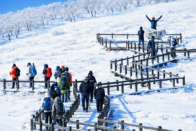 설경과 함께하는 인제 곰배령 겨울 트레킹
