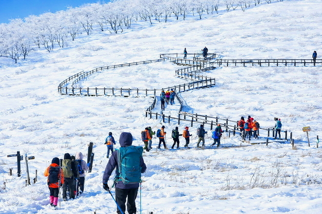 '천상의 화원' 인제 곰배령 겨울 트레킹