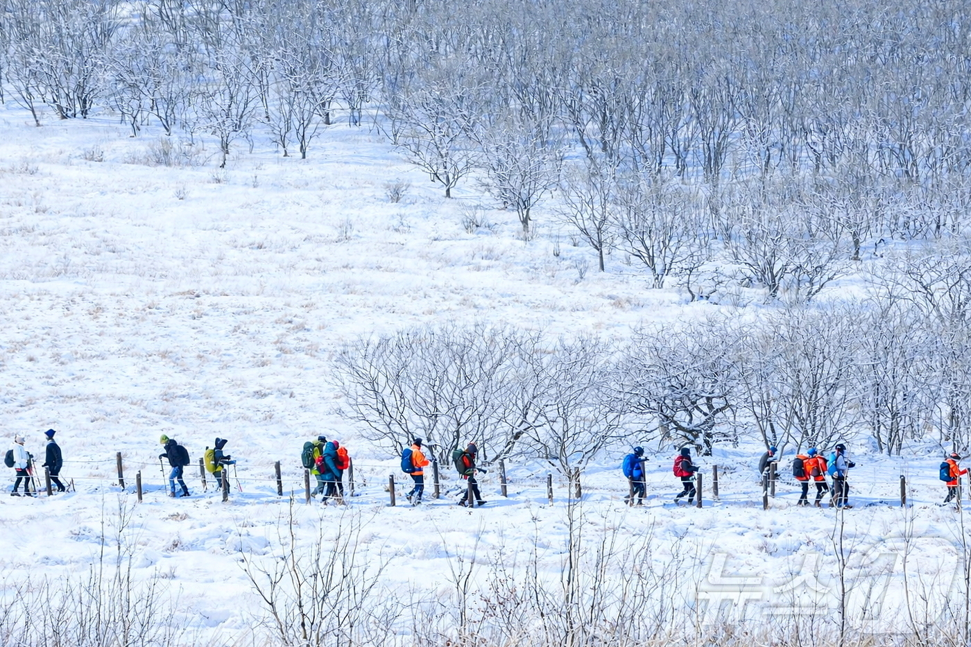 (인제=뉴스1) 한귀섭 기자 = 지난 17일 인제군 기린면에 위치한 곰배령이 지난밤 내린 눈으로 순백의 설경이 펼쳐진 가운데 탐방객들이 트레킹을 즐기고 있다. 천상의 화원 이라고도 …