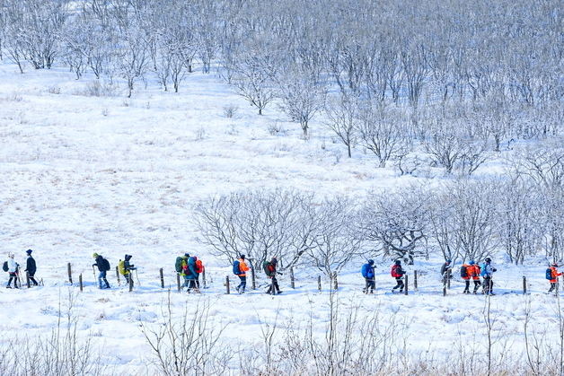 인제 곰배령 겨울 트레킹 '아름다운 설경과 함께'