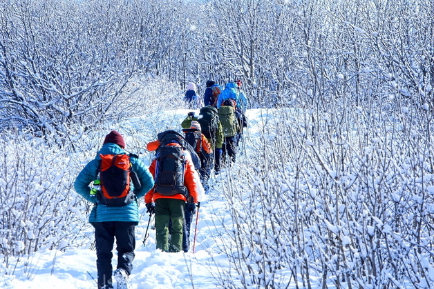 양구 -20.3도…'대한 한파' 강원 올겨울 최강 추위
