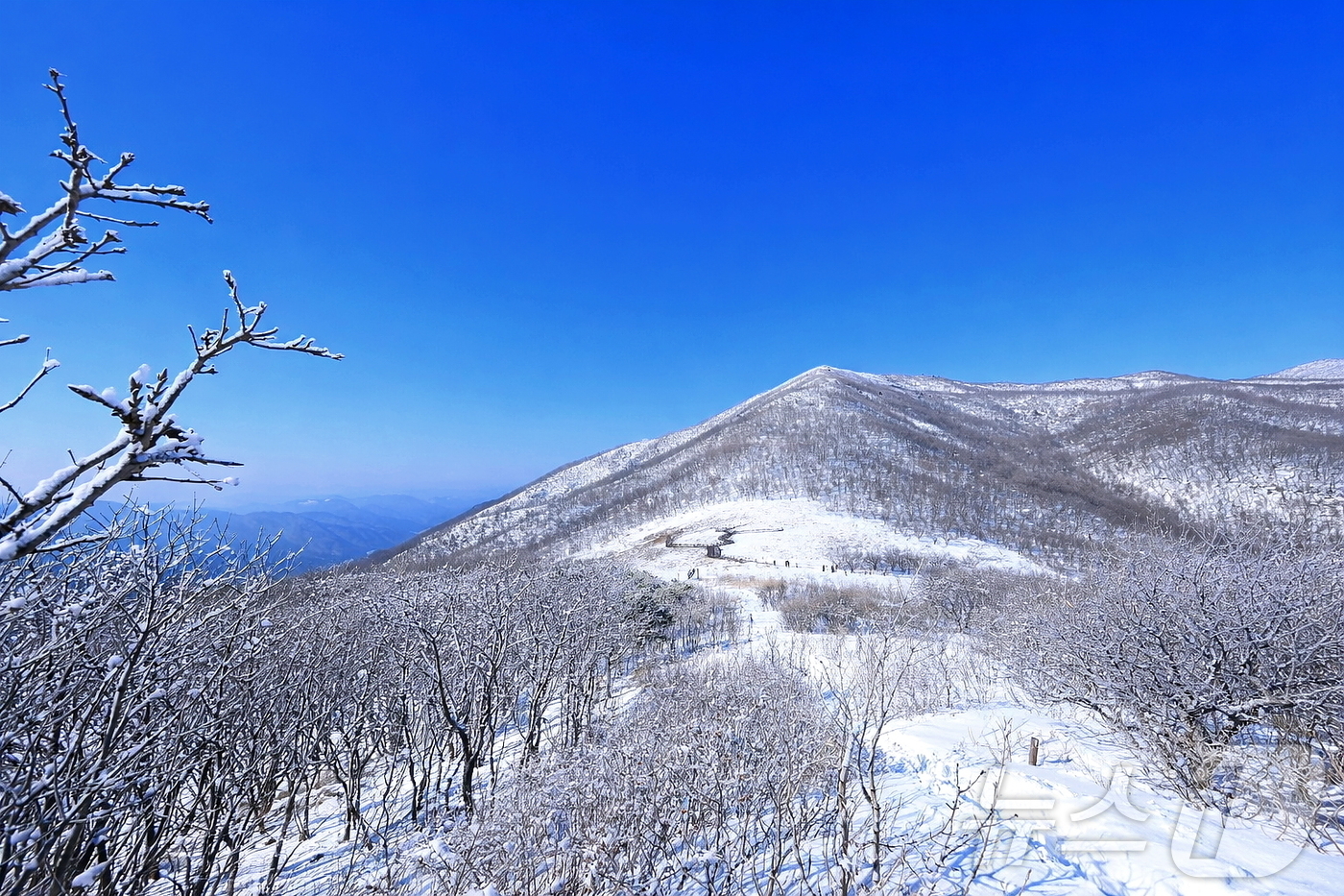 (인제=뉴스1) 한귀섭 기자 = 지난 17일 인제군 기린면에 위치한 곰배령이 지난밤 내린 눈으로 순백의 설경이 펼쳐진 가운데 탐방객들이 트레킹을 즐기고 있다. 천상의 화원 이라고도 …