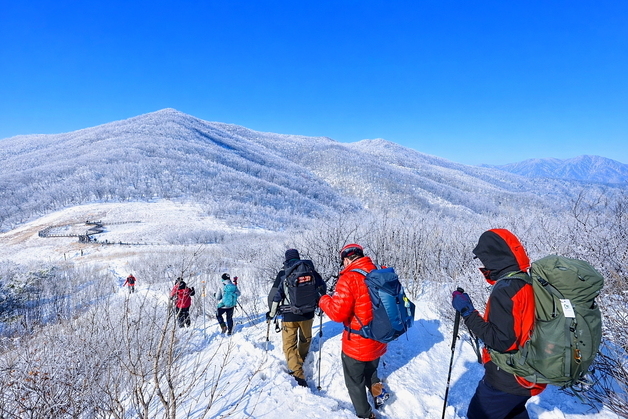 '환상적인 설경' 인제 곰배령 겨울 트레킹