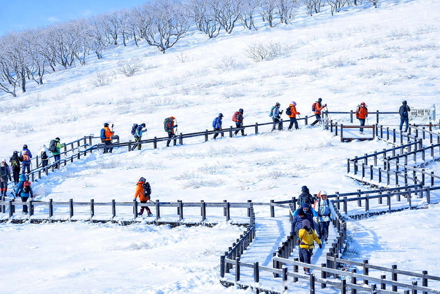 [오늘의 날씨] 강원(5일, 목)…대부분 지역 비·눈, 산지 최대 15㎝ 폭설