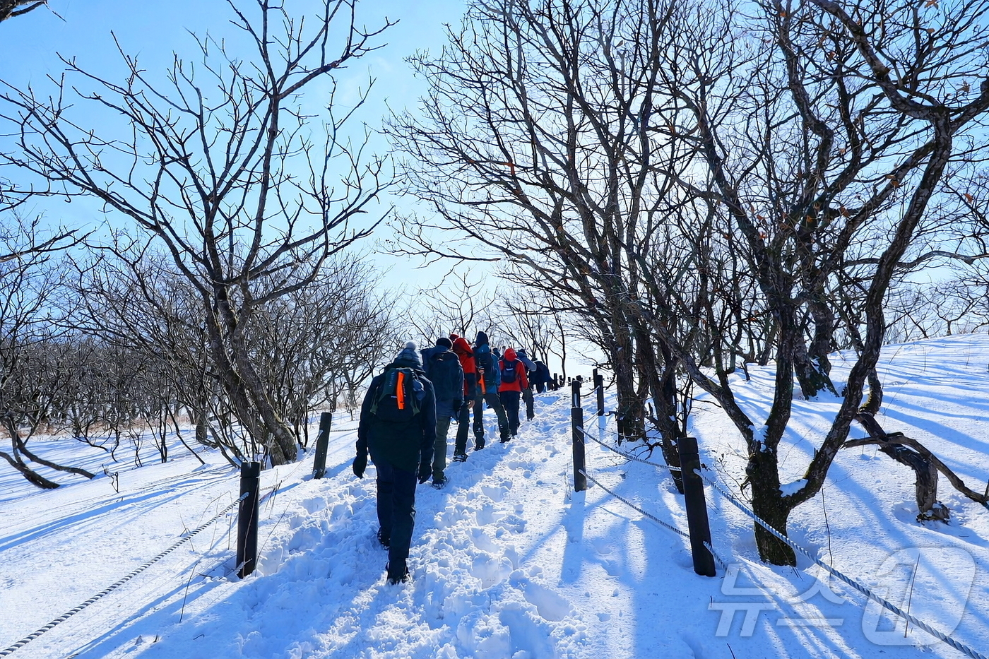(인제=뉴스1) 한귀섭 기자 = 지난 17일 인제군 기린면에 위치한 곰배령이 지난밤 내린 눈으로 순백의 설경이 펼쳐진 가운데 탐방객들이 트레킹을 즐기고 있다. 천상의 화원 이라고도 …