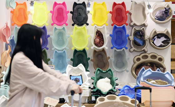 '고양이는 소쿠리를 좋아해'