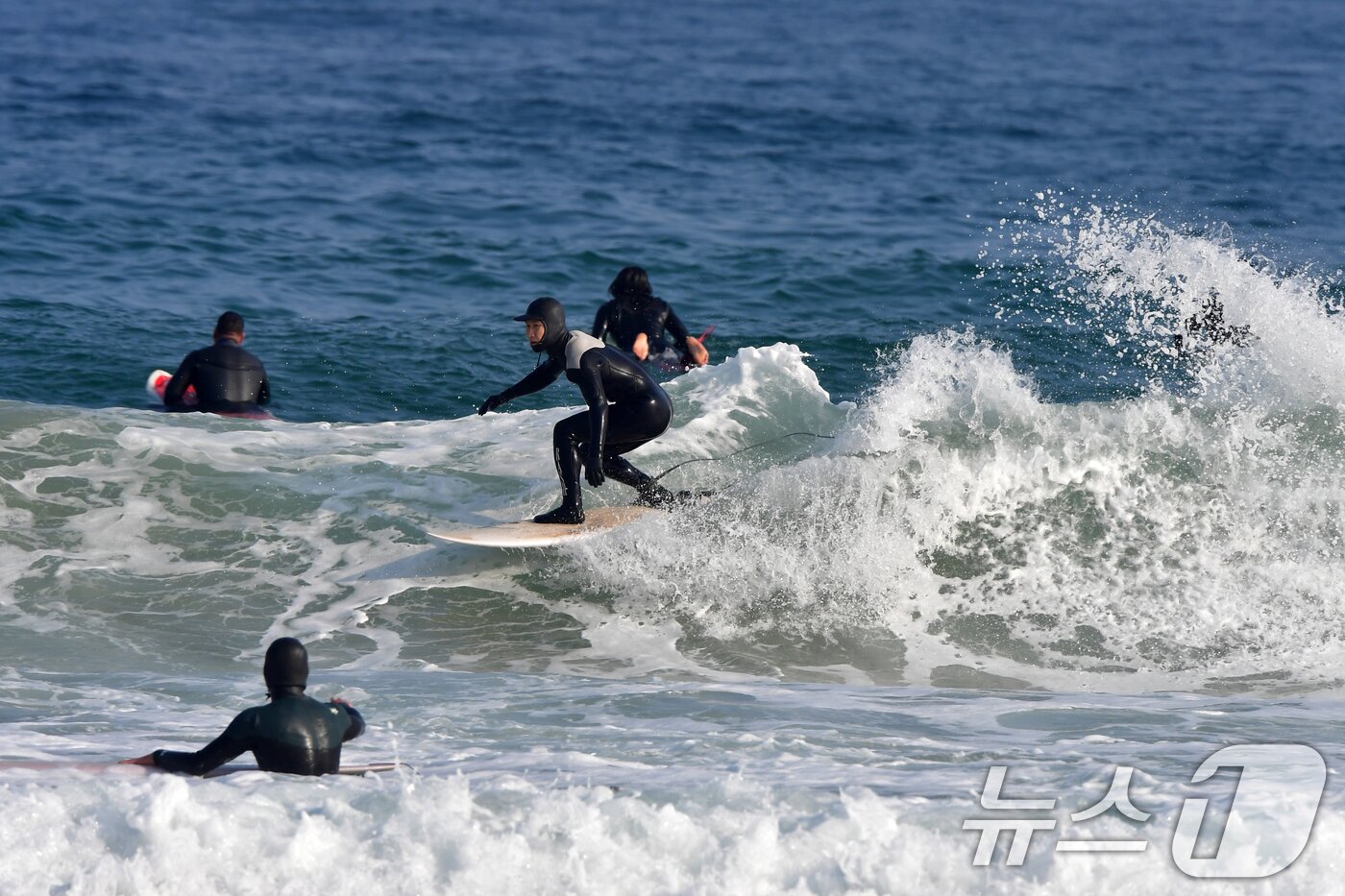 본문 이미지 - 18일 경북 포항시 북구 흥해읍 용한리 해수욕장에서 서퍼들이 겨울 파도를 타고 있다. 2026.1.18/뉴스1 ⓒ News1 최창호 기자