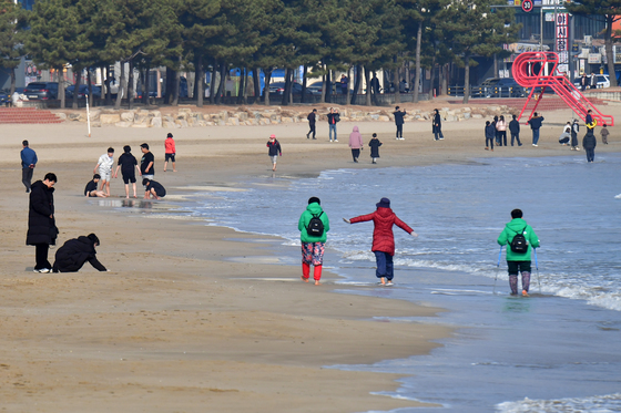 봄날 같은 겨울 오후