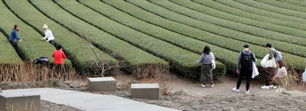 포근한 제주, 두꺼운 외투는 벗어두고
