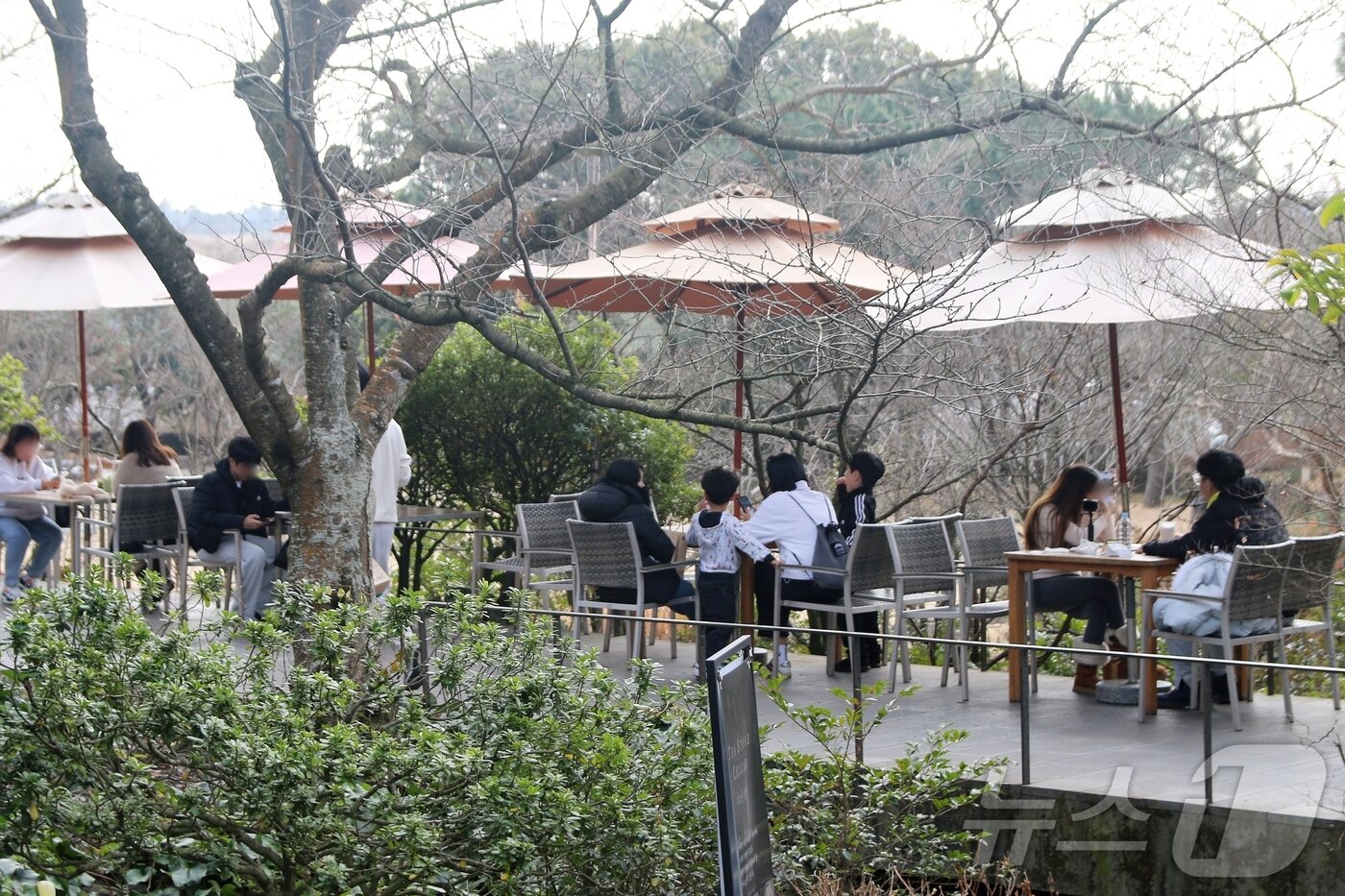 본문 이미지 - 18일 제주도 서귀포시 안덕면 오설록 서광차밭에서 관광객들이 포근한 날씨를 만끽하고 있다. 이날 제주도의 낮 최고기온은 오후 1시 기준 15~17도까지 올랐다.2026.1.19/뉴스1 ⓒ News1 홍수영 기자