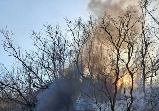 '귀신 잡는 해병대' 신속한 판단으로 산불로 확산 위기 '화재 잡았다'